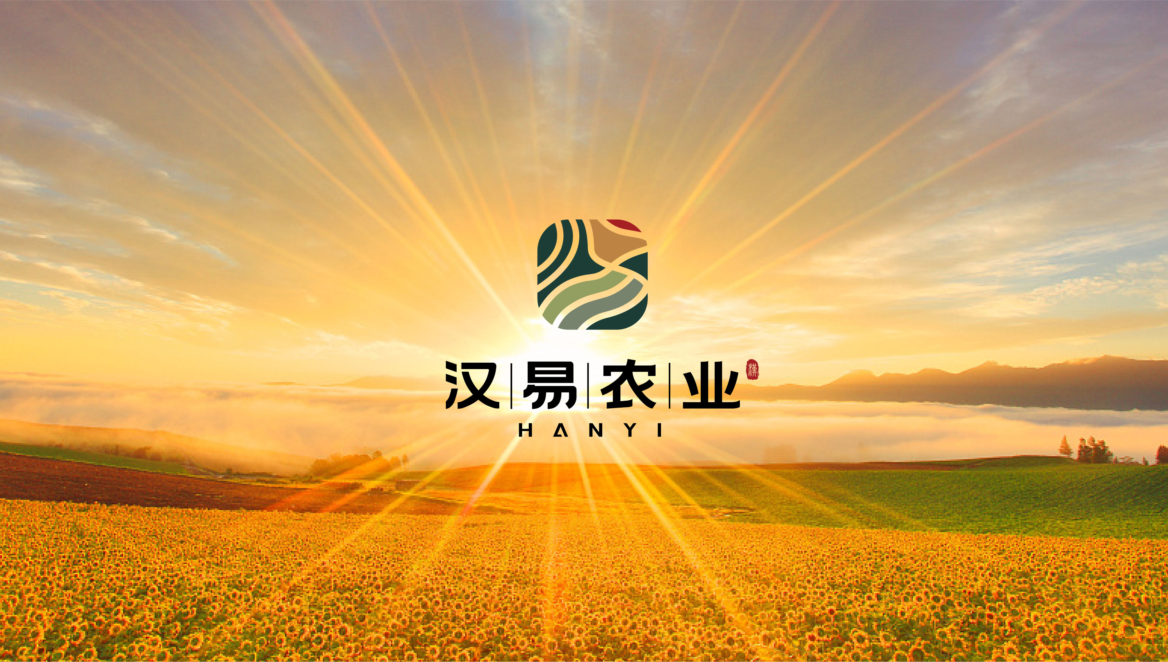 漢易農業(yè)LOGO原創(chuàng)設計提案二&圭谷品牌-09