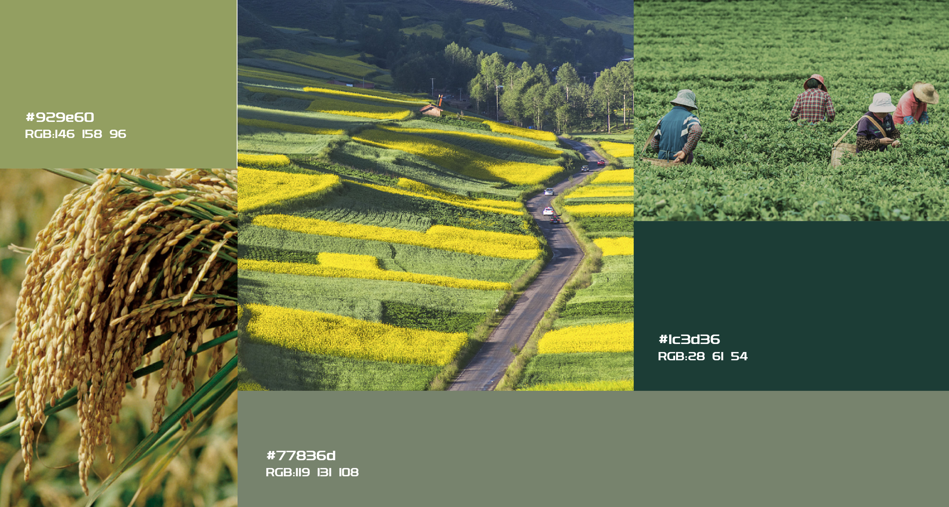 漢易農業(yè)LOGO原創(chuàng)設計提案二&圭谷品牌-11