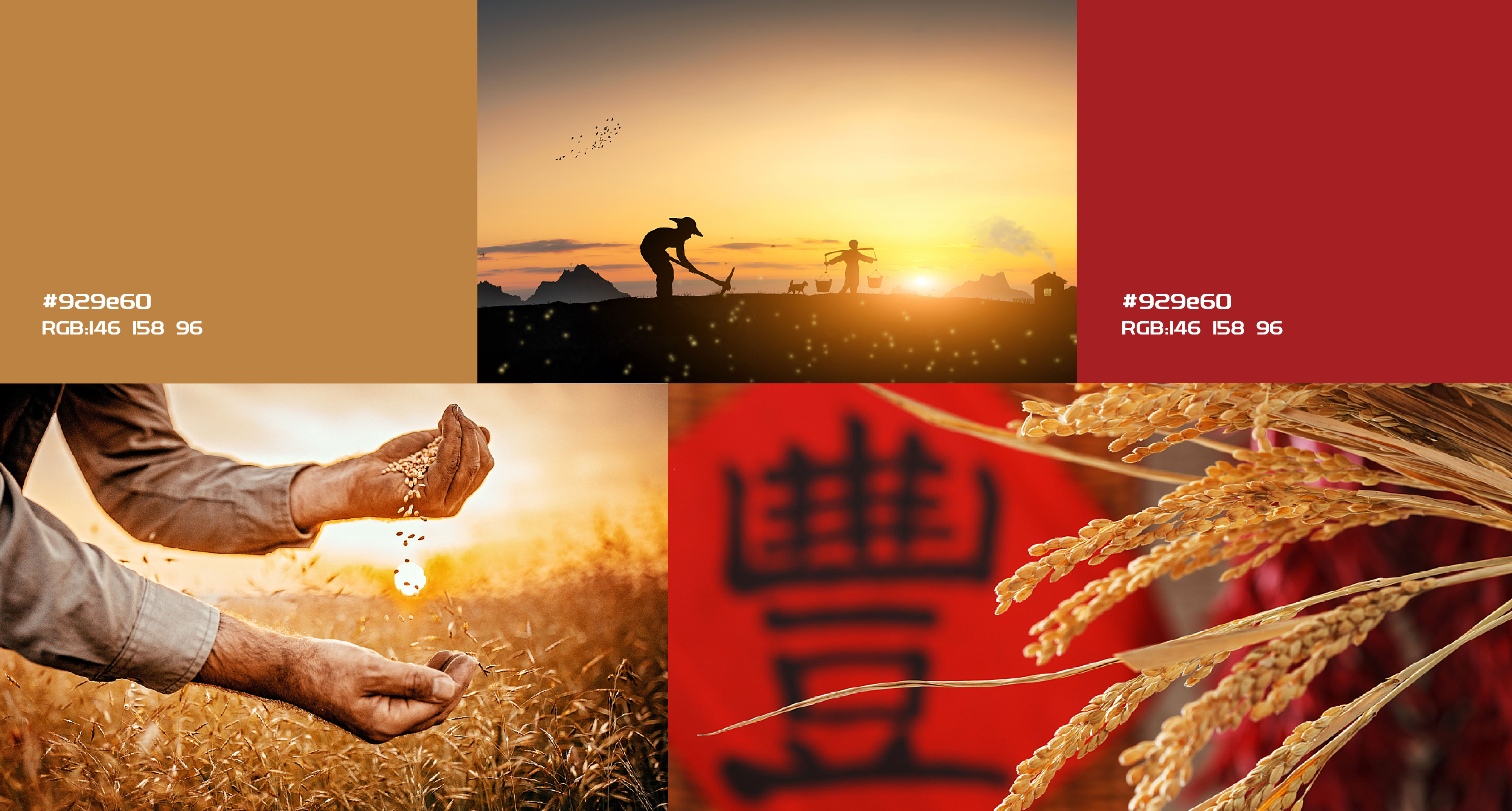 漢易農業(yè)LOGO原創(chuàng)設計提案二&圭谷品牌-12