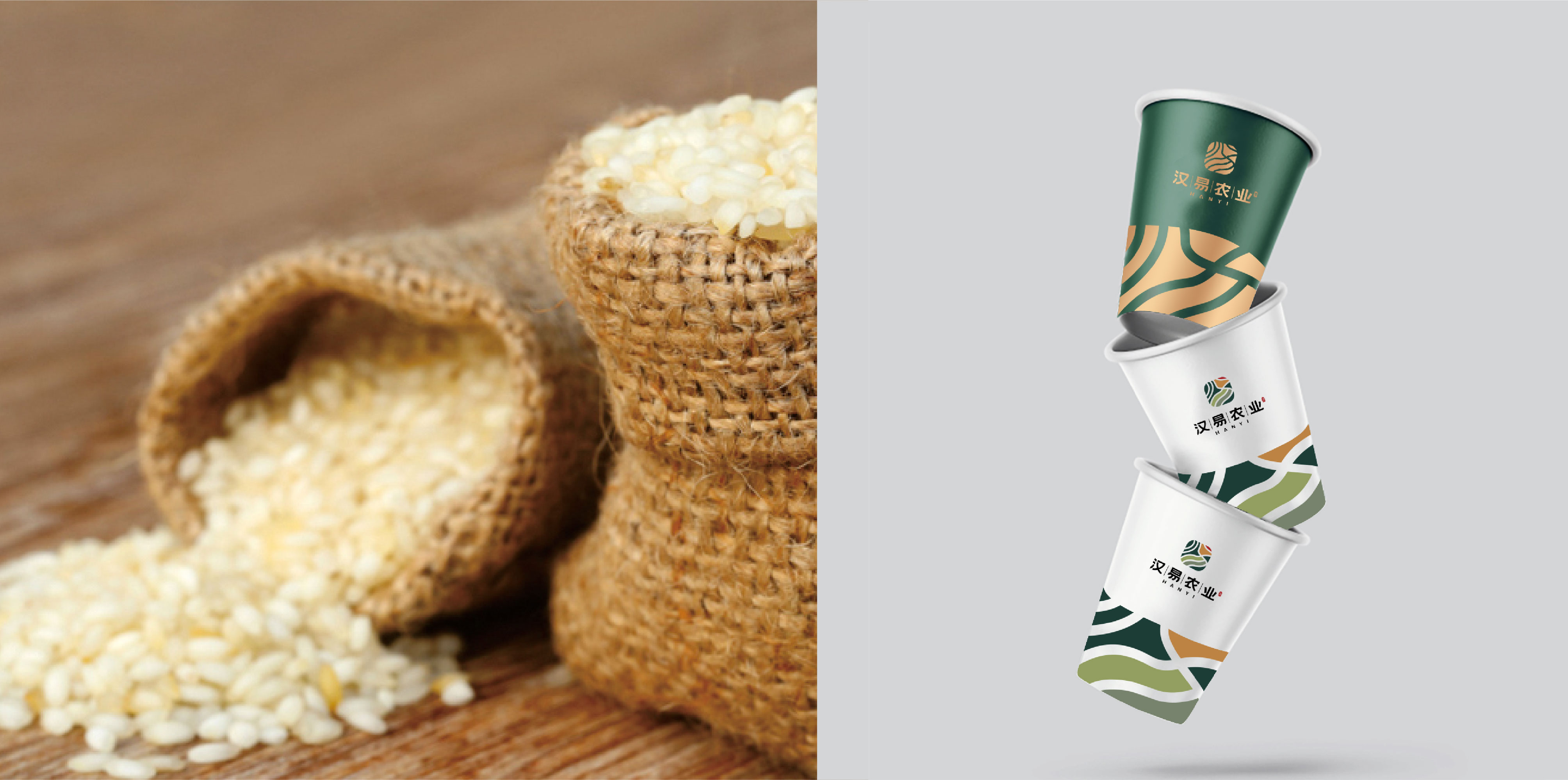 漢易農業(yè)LOGO原創(chuàng)設計提案二&圭谷品牌-14