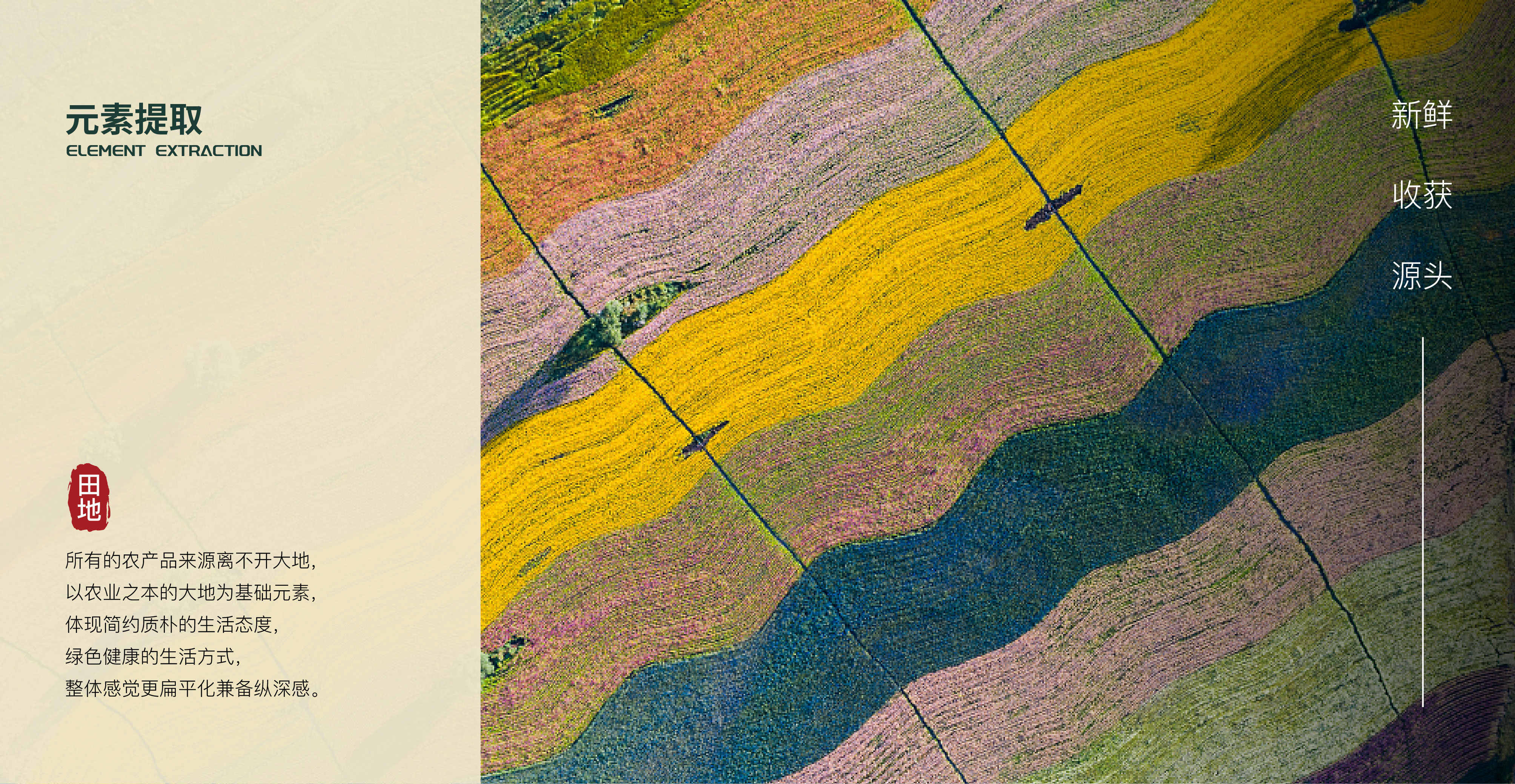 漢易農業(yè)LOGO原創(chuàng)設計提案二&圭谷品牌-03_副本