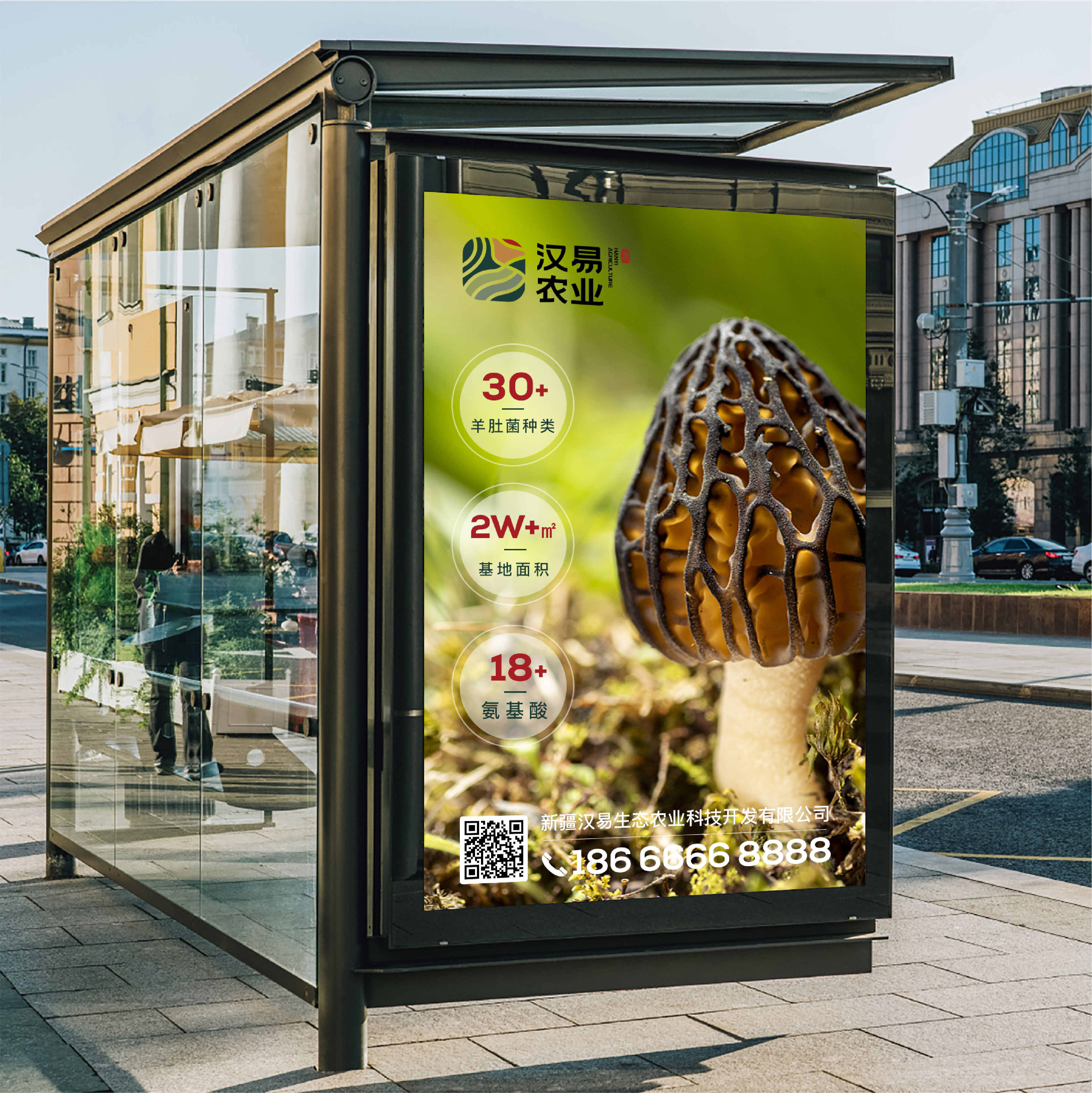 漢易農業(yè)LOGO原創(chuàng)設計提案二&圭谷品牌-18_副本